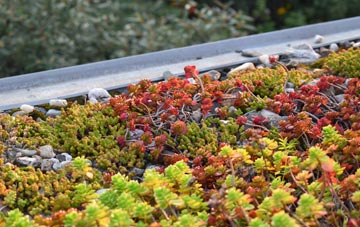 the cost of Chapel Knapp green roof installation