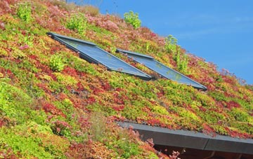 Chapel Knapp living roof systems